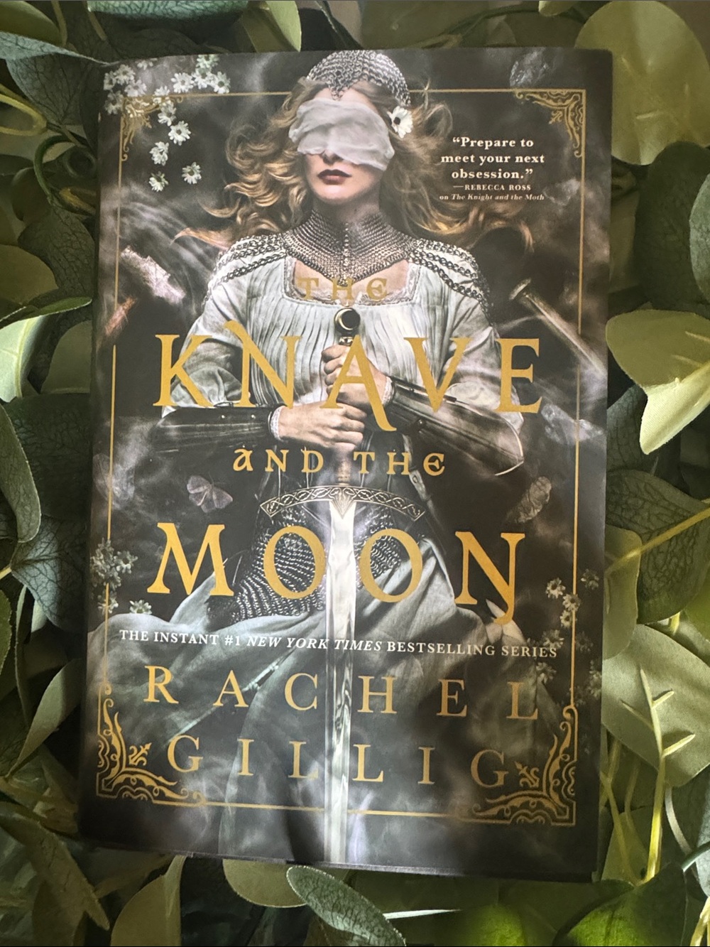 The Knave and the Moon by Rachel Gillig